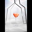 More 1714468171535-VERRE ROSE.jpg